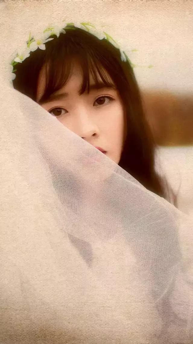 iphone壁纸斗罗大陆壁纸,壁纸控