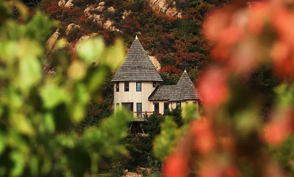 北京100元私人民宿,北京周边最美民宿排名前十名