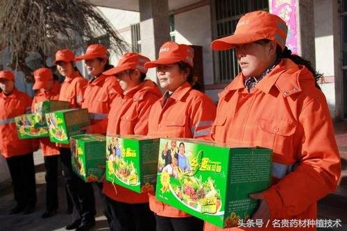 农村人怎样创业赚钱最快的方法,农村暴利创业13个点子防骗