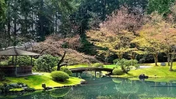 小小设计师绘本故事,小小建筑师绘本故事图片