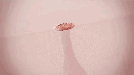 为啥那么多人爱看挤痘,为啥喜欢看挤痘痘