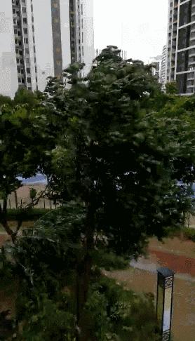 山竹现在情况怎么样,山竹最新消息东莞