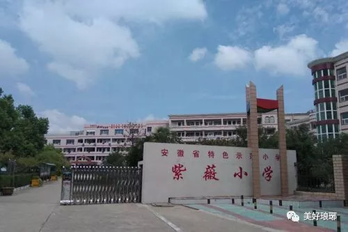 滁州市紫薇小学校,滁州市紫薇小学图标