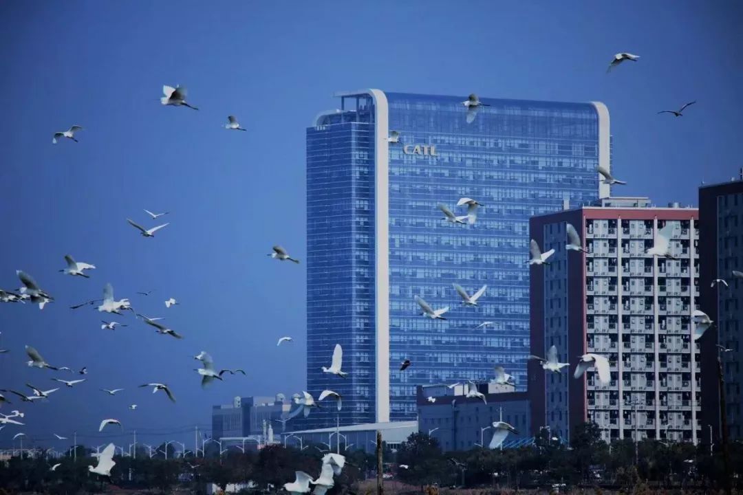 catl宁德时代新能源,宁德时代catl和site的区别