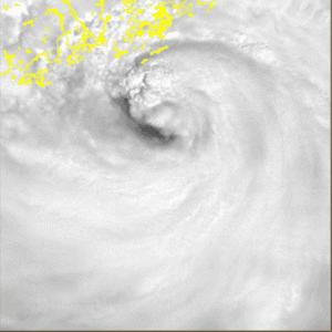 山竹台风粤港澳地区,台风山竹肆虐