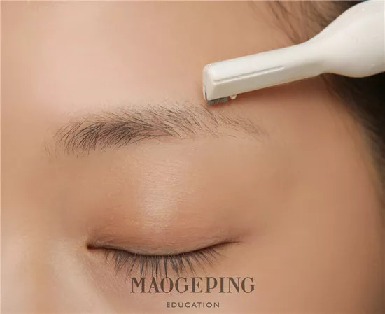 漂亮的眉毛怎么设计好看,素描眉毛怎么画简单又漂亮