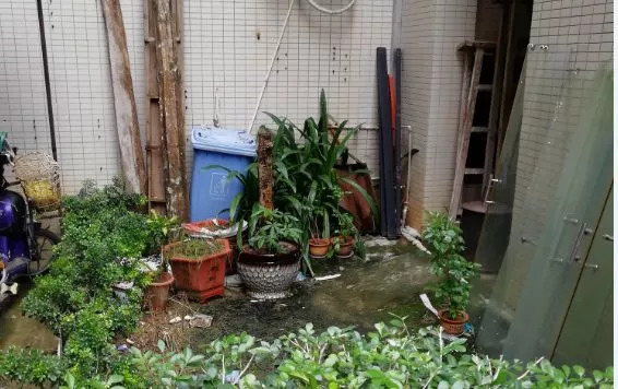 被蚊子咬了后起皮疹,蚊子咬后一大片红肿发硬体内缺啥