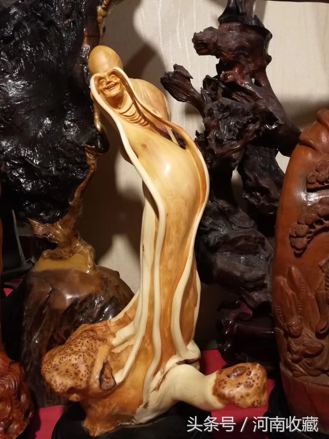 精品崖柏根雕大师级作品,史上最大的乌木根雕横空出世