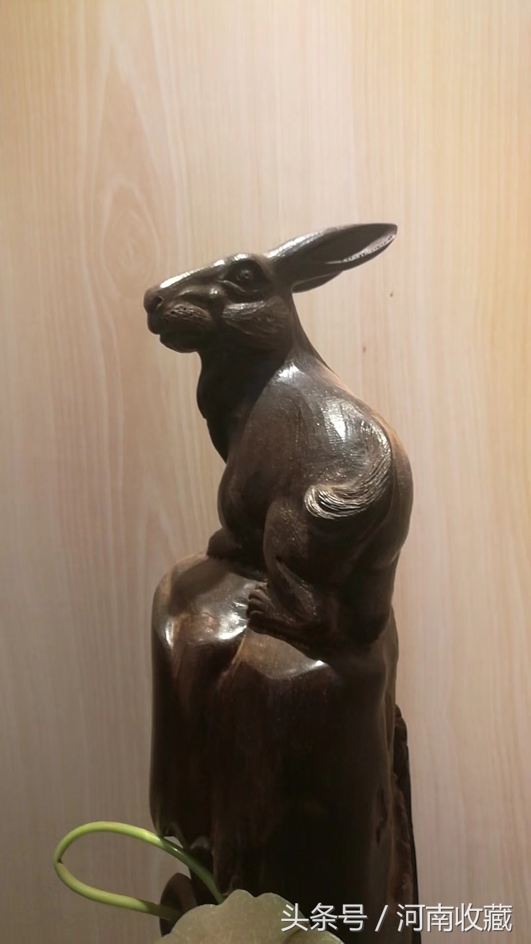 精品崖柏根雕大师级作品,史上最大的乌木根雕横空出世