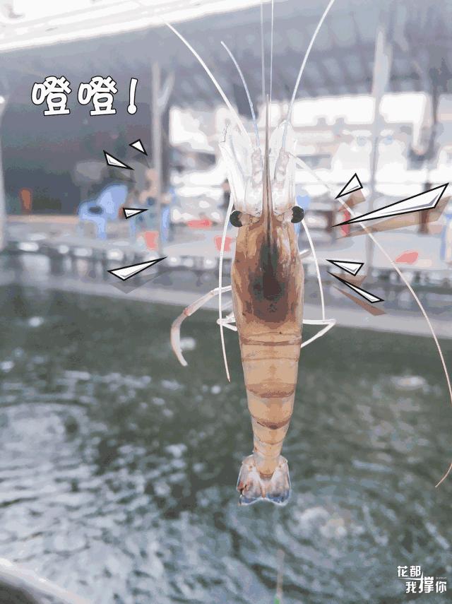 花都三东钓虾场,周末想去海边玩去哪里