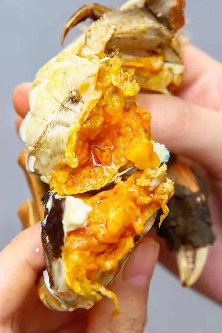 「团购」中秋送礼必备！价格低质量好的阳澄湖大闸蟹要去哪里买呢？这只来自阳澄湖的鲜活大闸蟹肥美爆膏正当时，错过等一年！