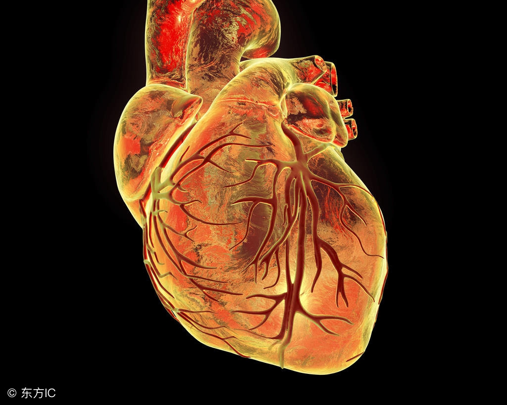 心脏功能分几级,心脏衰竭四级还能出去跳舞吗