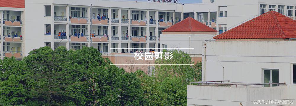 合肥土豪学校收费,合肥学费最贵学校