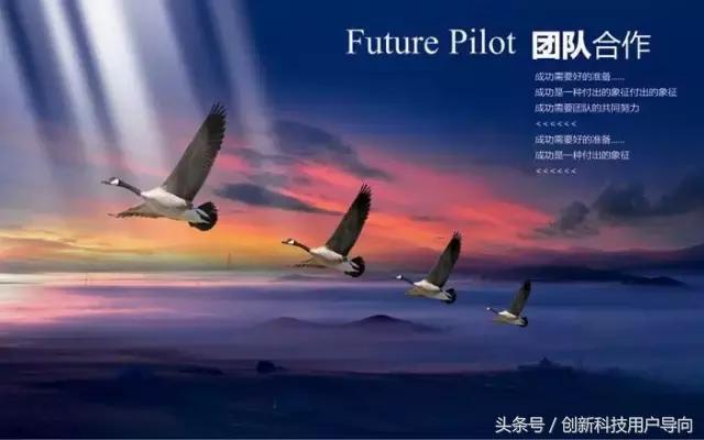 一个团队如何管理,团队项目管理软件