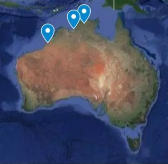 卡卡杜李吃了有什么作用,卡卡杜李身体乳能美白吗