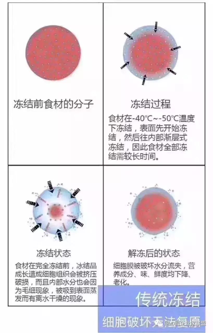 四季汇鲜“新鲜、美味、安全”扬州首家鲜冻食品门店