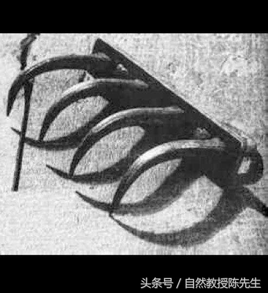 最残忍的中世纪酷刑,中世纪最残忍的六大酷刑