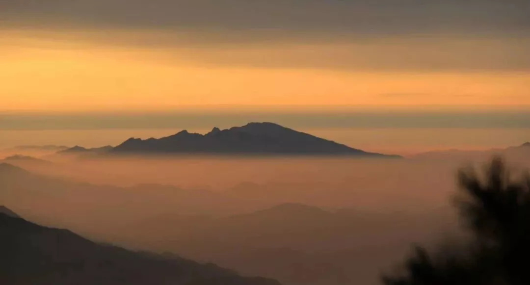 想做护士应该学什么专业,想做护士要考什么