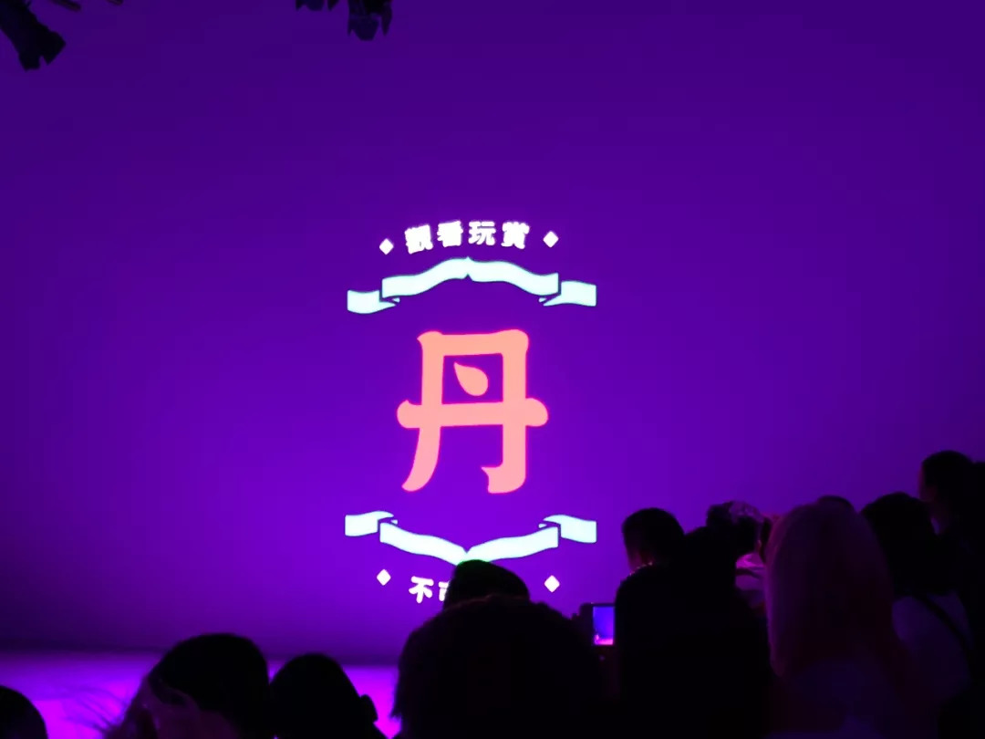 老虎牌运动短袖,夏季虎纹运动衫