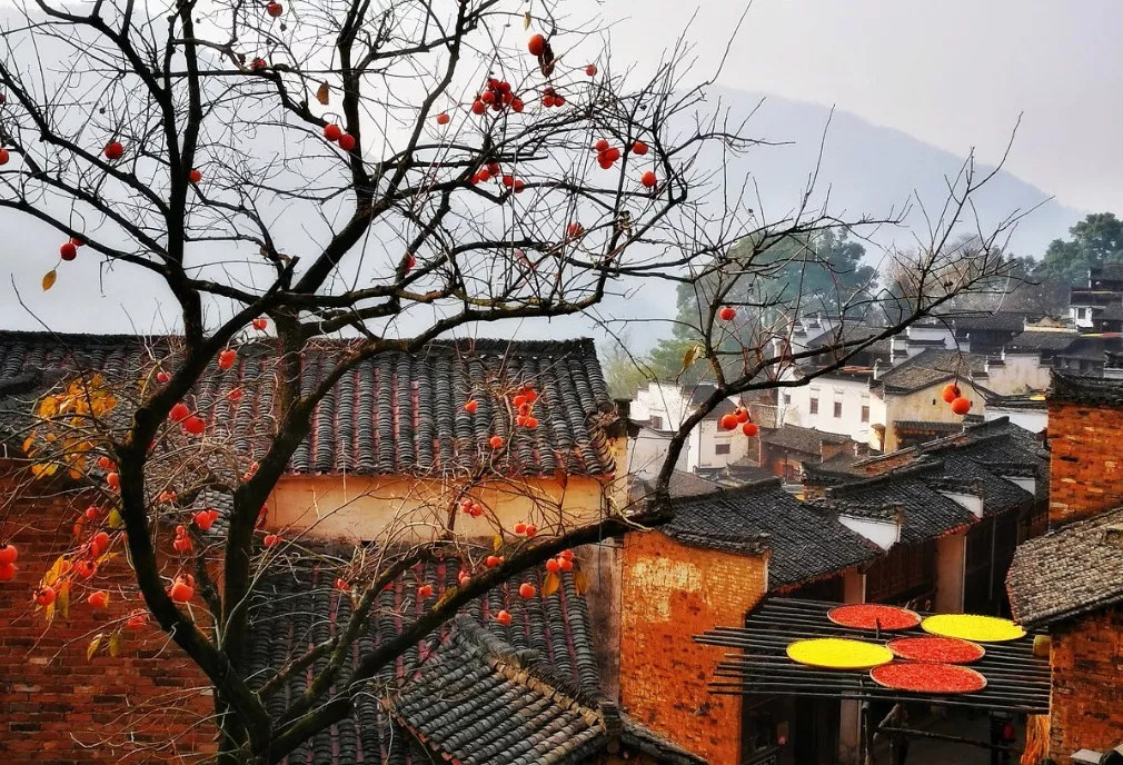 婺源10月,10-11月的婺源