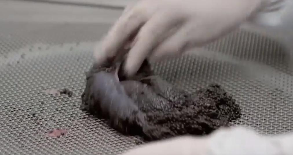 顶级鱼子酱美食,四大美食之一的鱼子酱