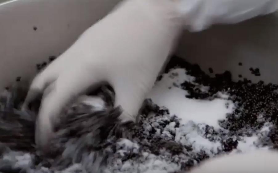 顶级鱼子酱美食,四大美食之一的鱼子酱