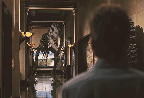 羊驼开门视频,羊驼出门迎接主人