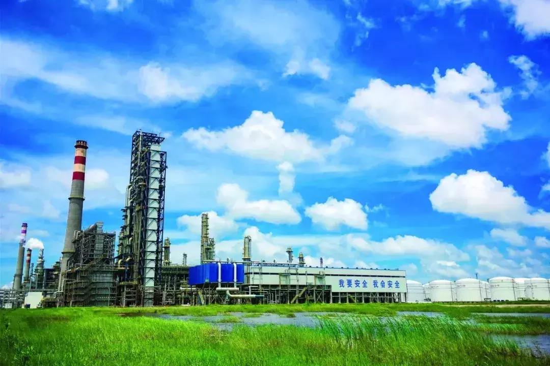 中化控股集团有限公司2024招聘,中国中化集团校园招聘1901人公告