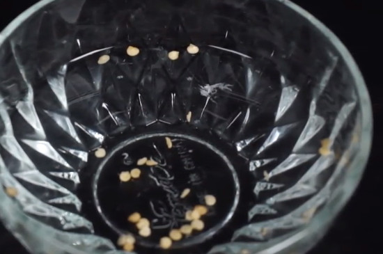 阳台种菜种小萝卜,阳台种菜自己种点豌豆尖