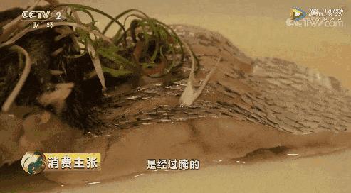 没有256G的胃，还敢到东海嗑海鲜？