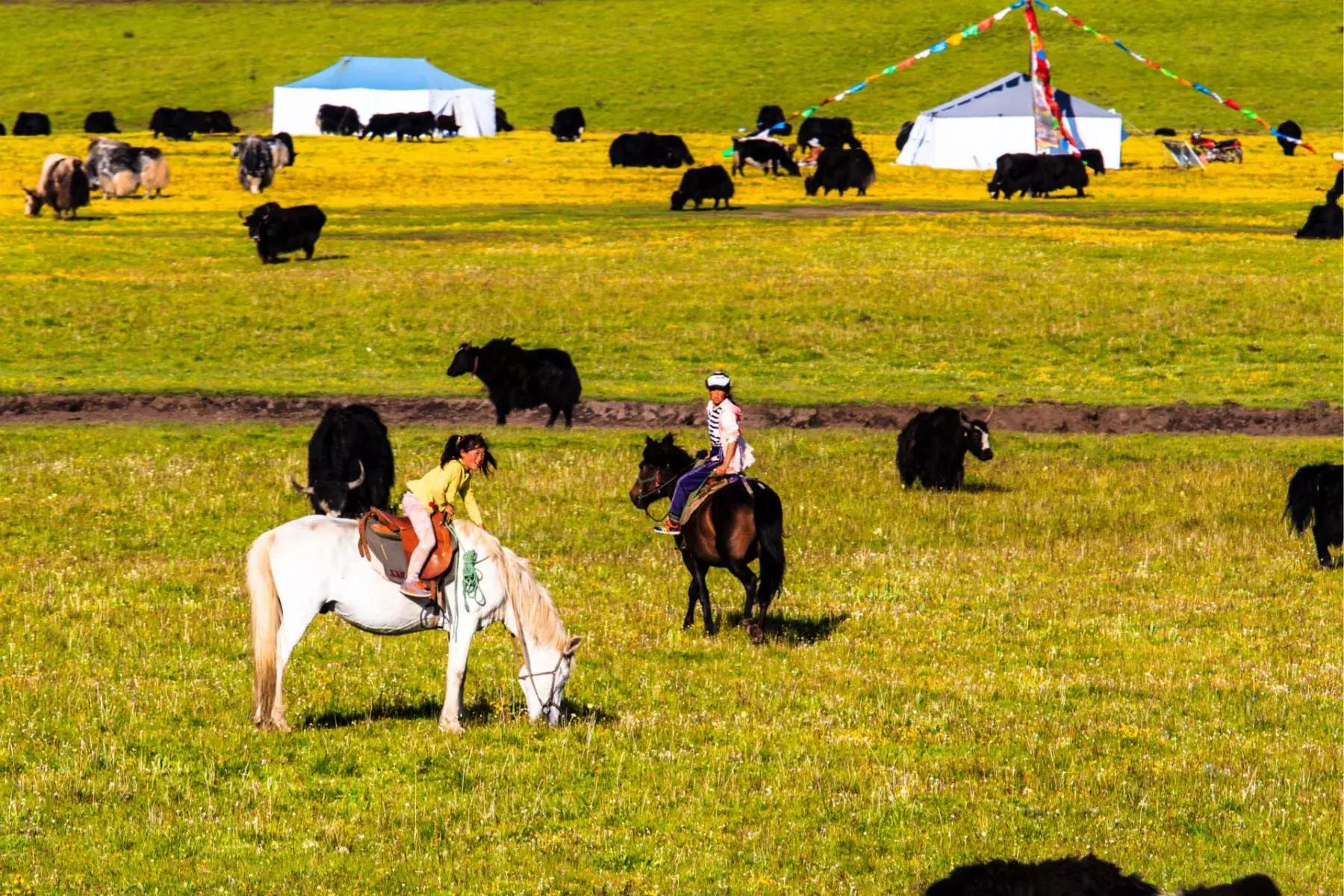 年宝玉则神山,年宝玉则天堂湖