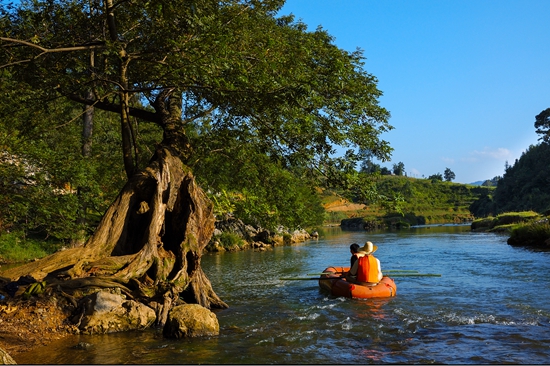 让我们走进美丽的紫云,最美的紫云花海