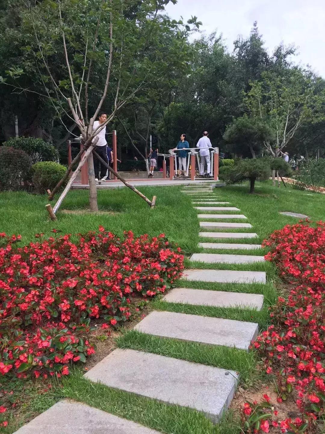 大连人最熟悉的“植物园”做了一次“整容”！一睹为快！