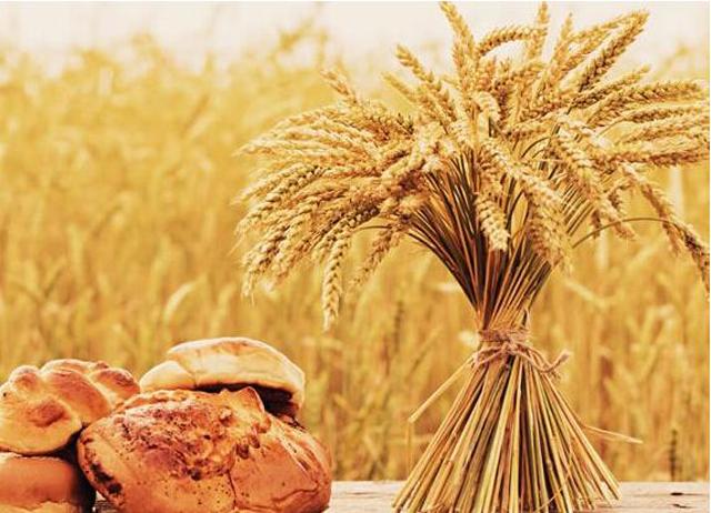 农资经销商的十大出路,农资经销商面临的十大战略问题