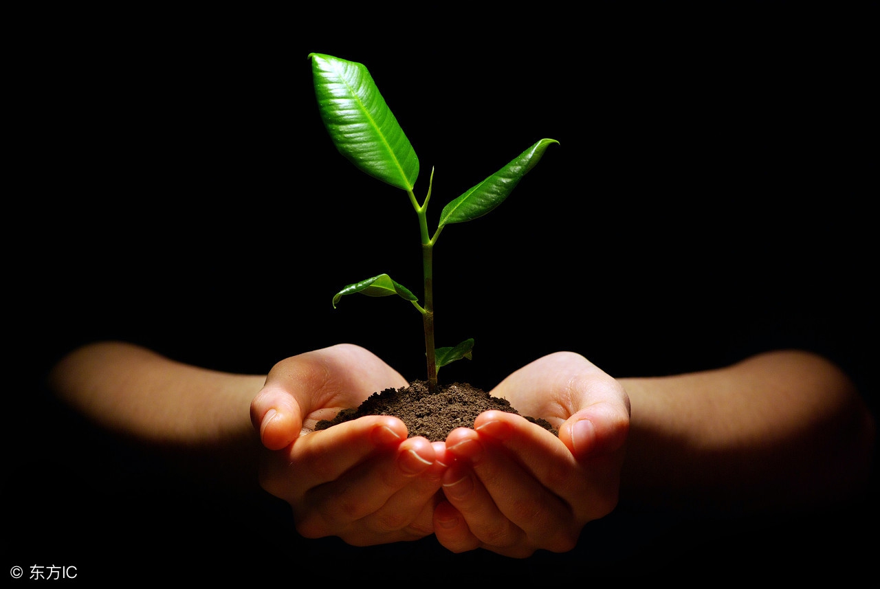 高中住校，只要做好这几点，成绩飞涨不是问题，只有利没有弊！