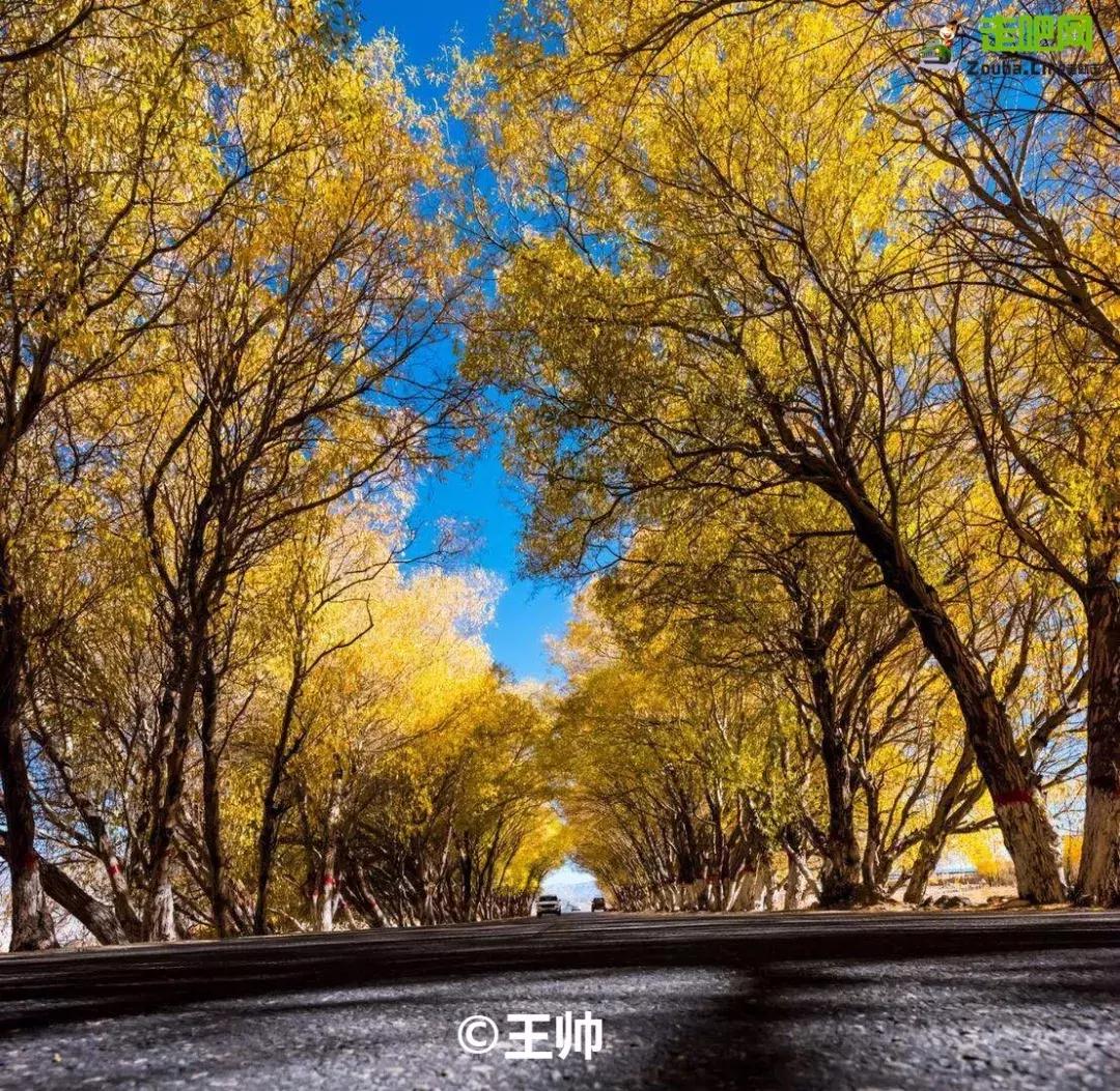 跟着玄奘西行,跟着唐僧去旅行观感和收获