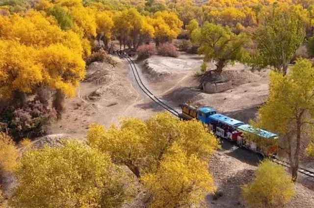 跟着玄奘西行,跟着唐僧去旅行观感和收获