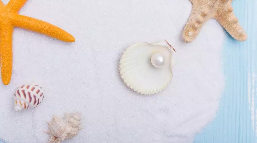 海南特产有哪些可以带给朋友,去海南看朋友需要带什么东北特产