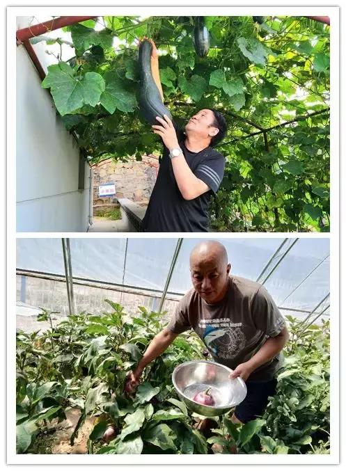 我们都要好好的努力工作享受生活,为了生活他们都在努力工作