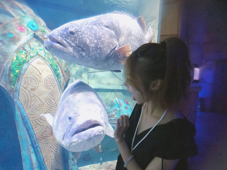 三亚亚特兰蒂斯酒店体验讲解,三亚亚特兰蒂斯酒店自由行攻略