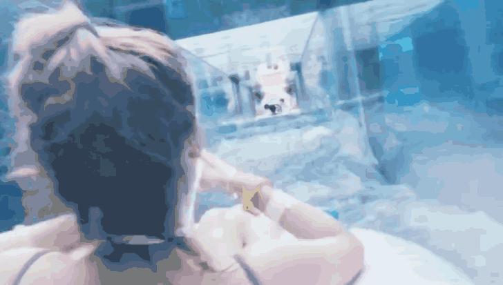 三亚亚特兰蒂斯酒店体验讲解,三亚亚特兰蒂斯酒店自由行攻略