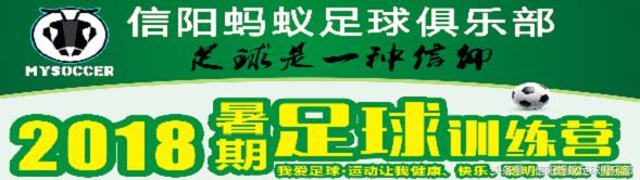 信阳蚂蚁足球比赛视频,信阳蚂蚁足球俱乐部假日足球赛
