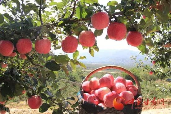 来西博城7号馆，带你畅游神州大地