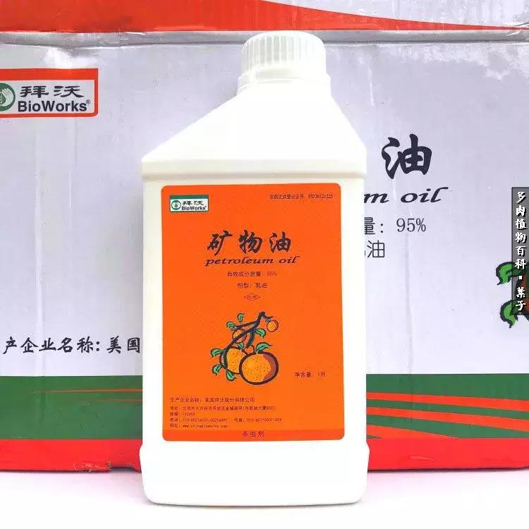 凉风至白露降寒蝉鸣下一句,夏天多肉小白虫消灭方法