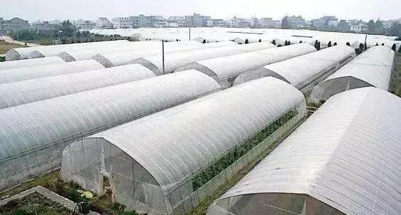 10种常见温室大棚的优缺点分析,助你选出最适合的