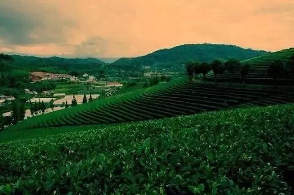 环云南自驾旅游攻略最佳线路,南宁自驾游云南最佳旅游攻略