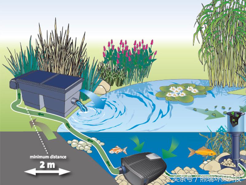 锦鲤鱼池过滤高清详细设计图纸,全自动过滤系统锦鲤鱼池施工方案