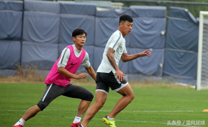 蓝色情怀,蓝色情怀洋河