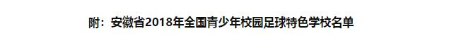 培育“梅西”的摇篮，铜陵6所学校上榜！