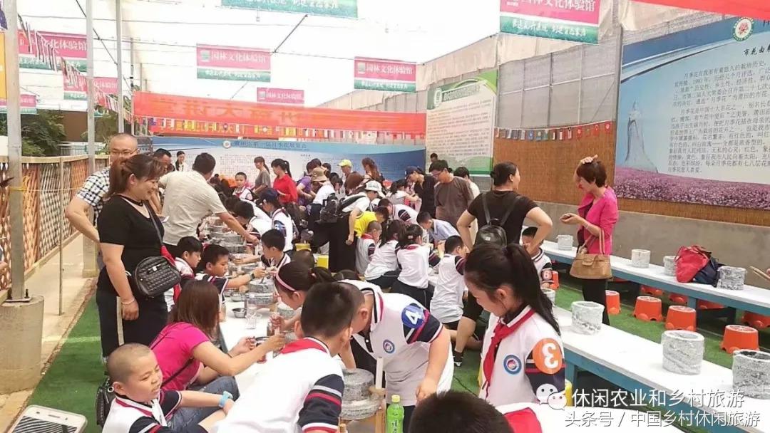 农业体验活动创意项目,休闲农业体验活动评估